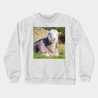 Happy Herdwick Sheep, Lake District Crewneck Sweatshirt